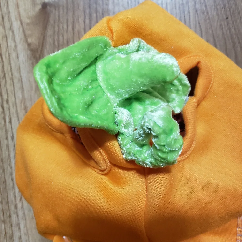 Reflective Dog Hoodie Jack O'Lantern Medium New Hyde & Eek Botique
